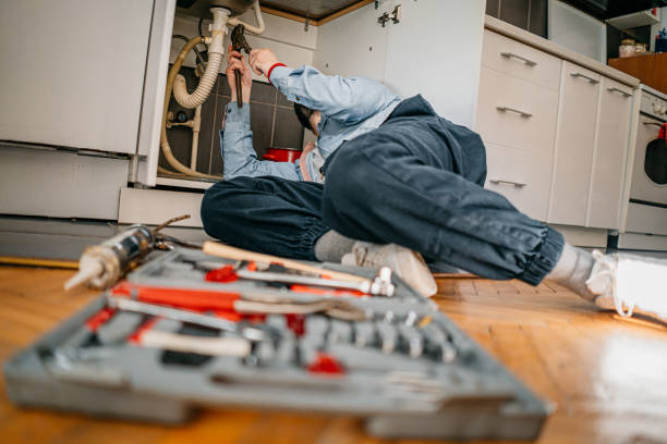 Best Local Plumber Services  in Lmerton, PA