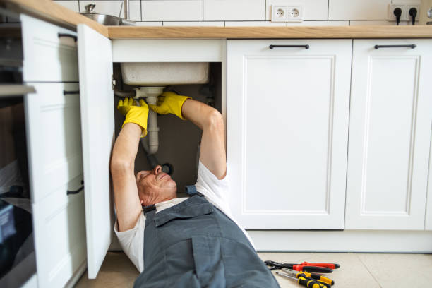 Best Clogged Drain Plumber  in Lmerton, PA